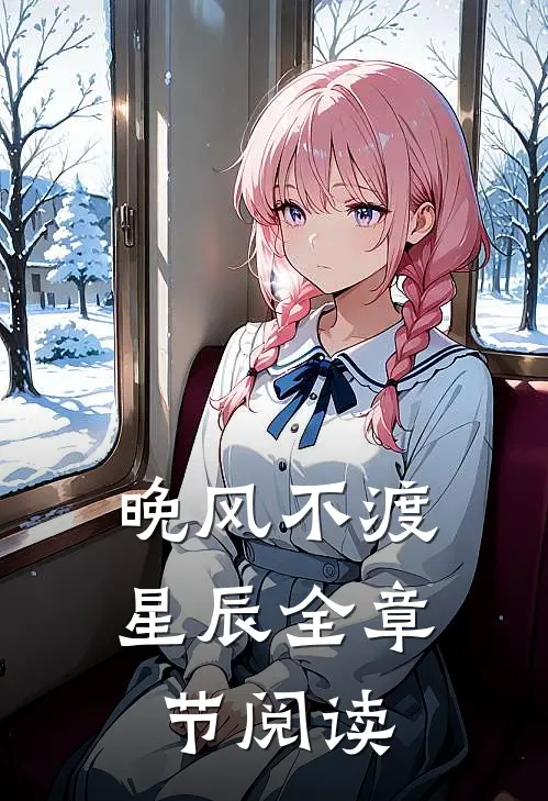 晚风不渡星辰全章节阅读