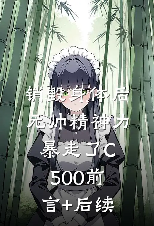 销毁身体后，元帅精神力暴走了C500前言+后续