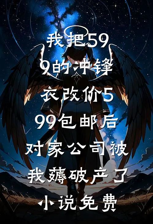 我把599的冲锋衣改价5.99包邮后，对家公司被我薅破产了小说免费