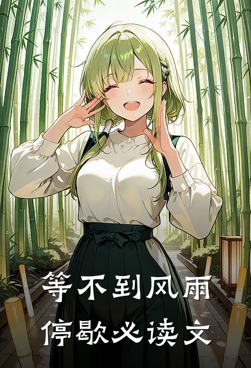 等不到风雨停歇必读文