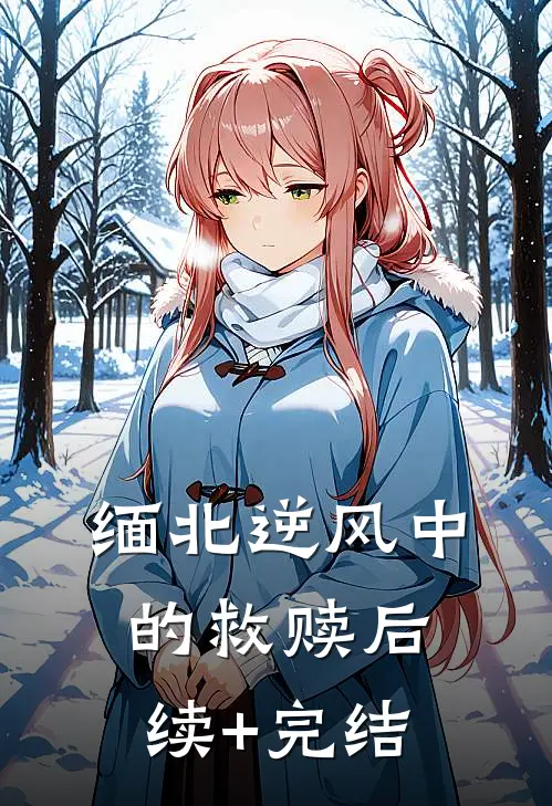 缅北逆风中的救赎后续+完结