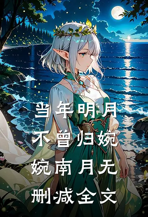 当年明月不曾归婉婉南月无删减全文