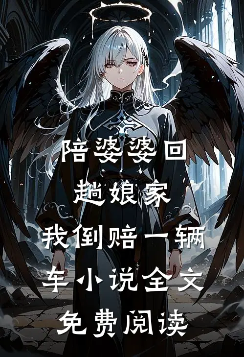 陪婆婆回趟娘家，我倒赔一辆车小说全文免费阅读