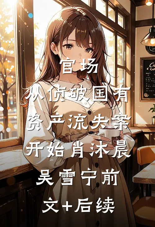 官场：从侦破国有资产流失案开始肖沐晨吴雪宁前文+后续