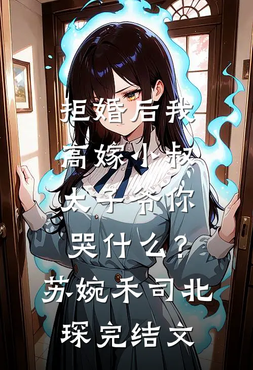 拒婚后我高嫁小叔，太子爷你哭什么？苏婉禾司北琛完结文