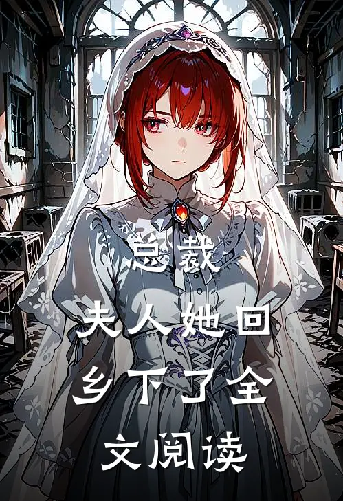 总裁，夫人她回乡下了全文阅读