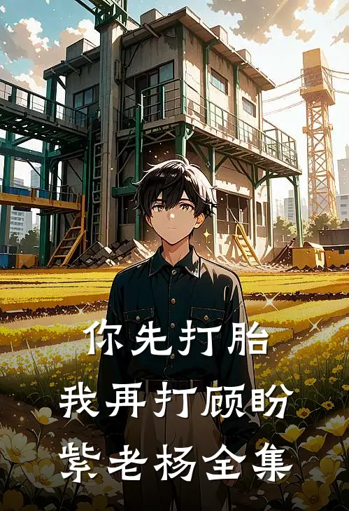 你先打胎，我再打顾盼紫老杨全集