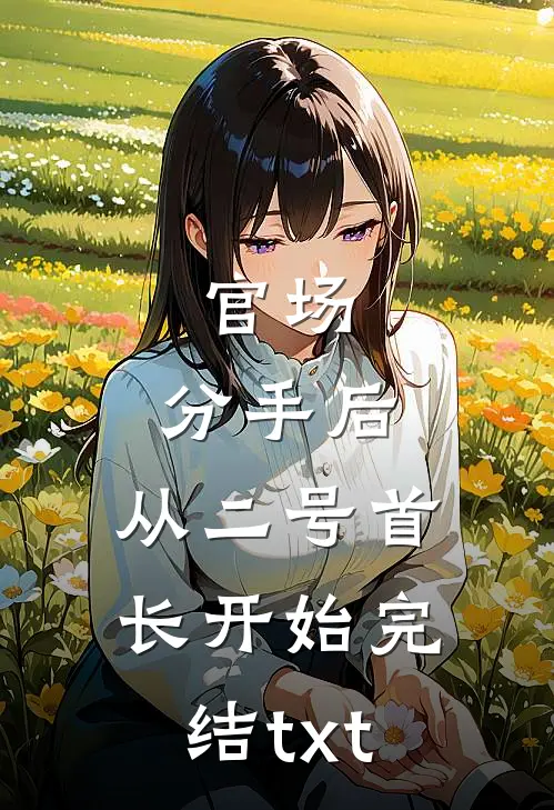 官场：分手后，从二号首长开始完结txt