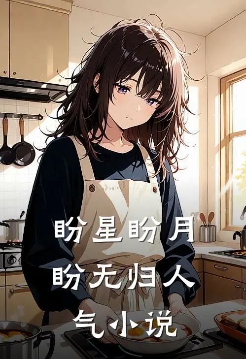 盼星盼月盼无归人气小说