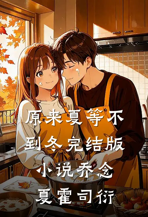原来夏等不到冬完结版小说乔念夏霍司衍