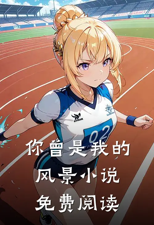 你曾是我的风景小说免费阅读