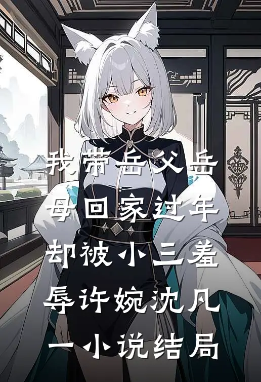 我带岳父岳母回家过年，却被小三羞辱许婉沈凡一小说结局