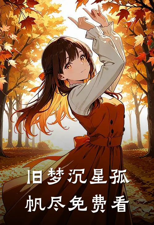 旧梦沉星孤帆尽免费看