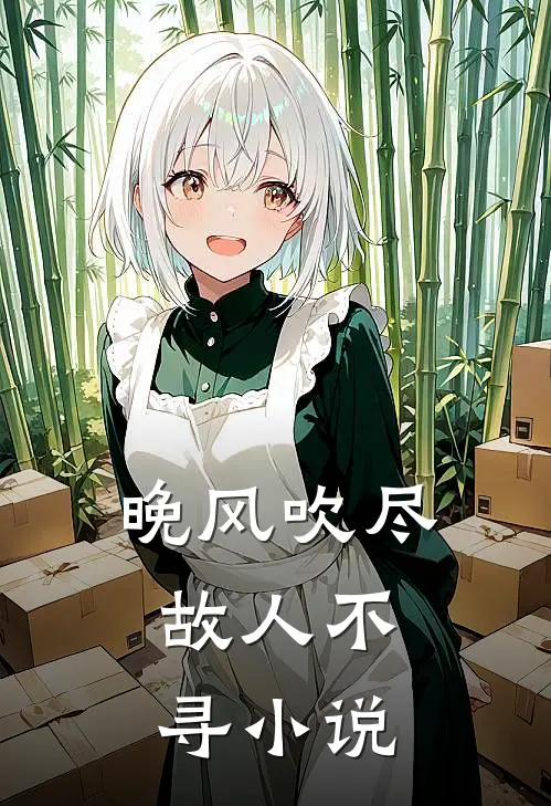晚风吹尽，故人不寻小说