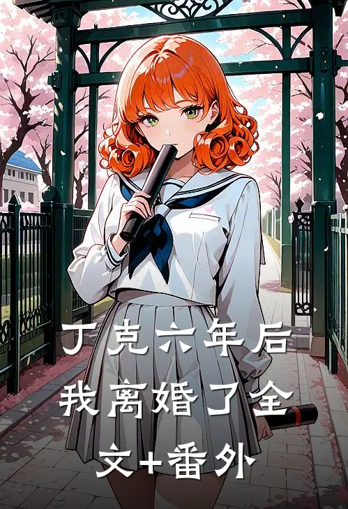 丁克六年后，我离婚了全文+番外