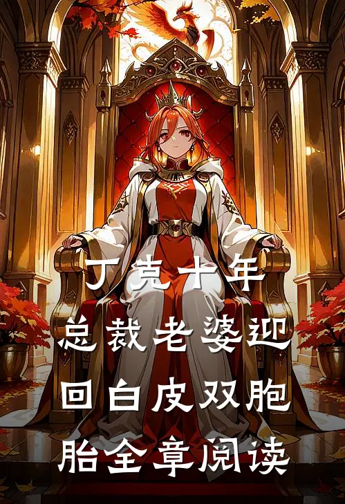 丁克十年，总裁老婆迎回白皮双胞胎全章阅读