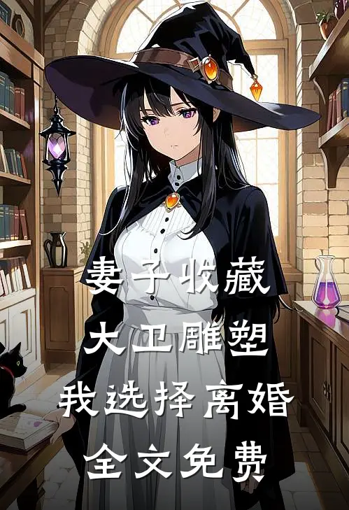 妻子收藏大卫雕塑，我选择离婚全文免费