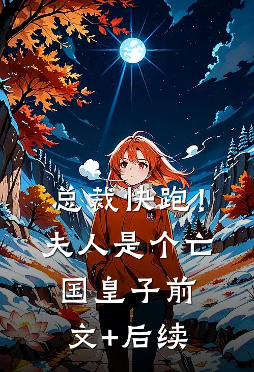 总裁快跑！夫人是个亡国皇子前文+后续