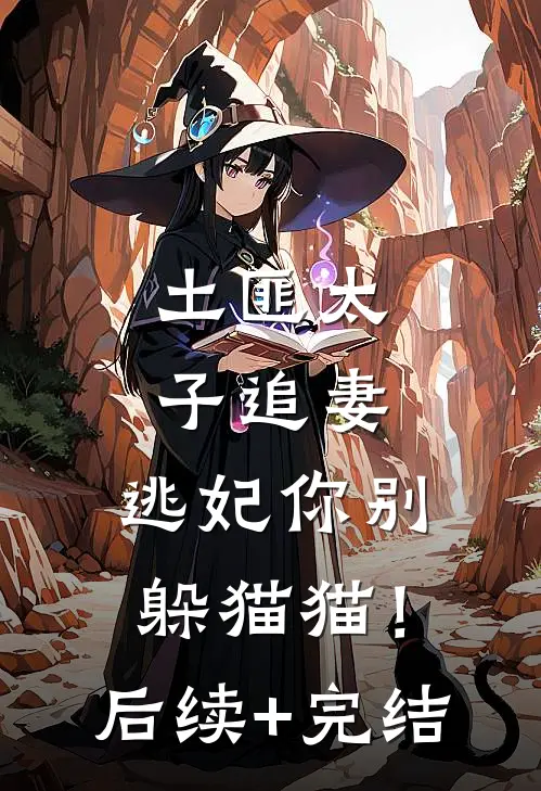 土匪太子追妻：逃妃你别躲猫猫！后续+完结