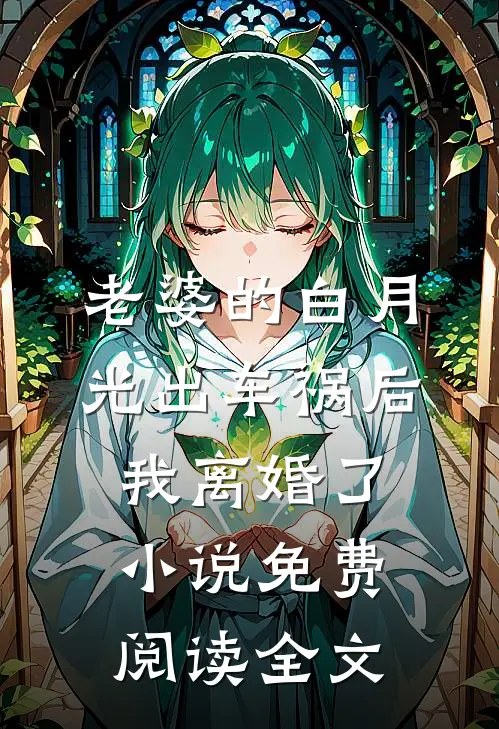 老婆的白月光出车祸后，我离婚了小说免费阅读全文