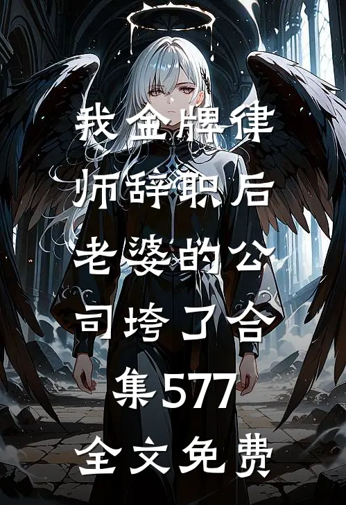 我金牌律师辞职后，老婆的公司垮了合集577全文免费