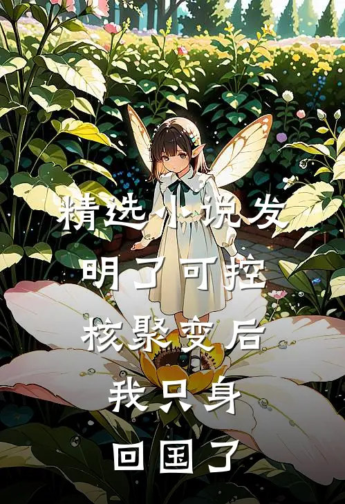 精选小说发明了可控核聚变后，我只身回国了