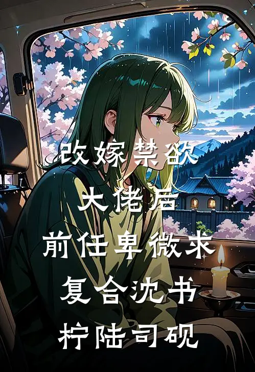 改嫁禁欲大佬后，前任卑微求复合沈书柠陆司砚