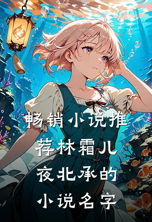 畅销小说推荐林霜儿夜北承的小说名字