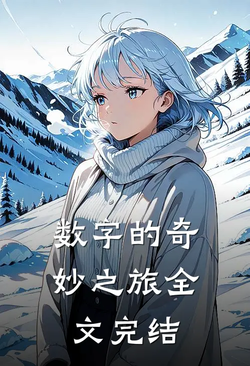 数字的奇妙之旅全文完结