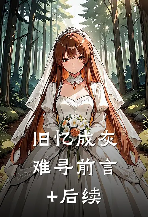 旧忆成灰难寻前言+后续