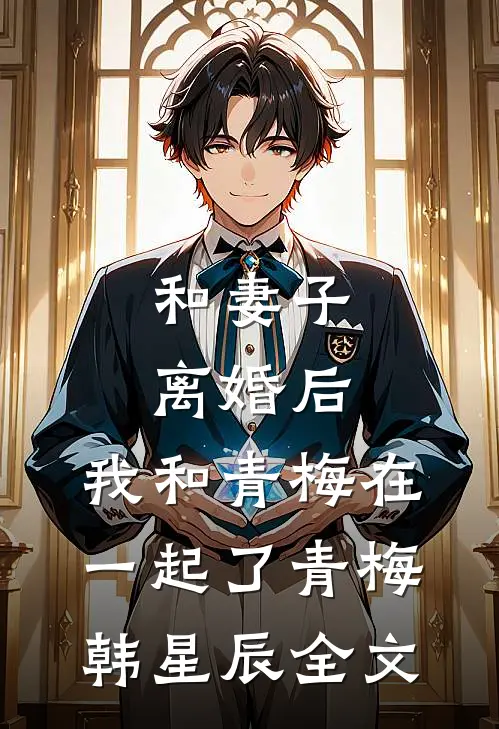 和妻子离婚后，我和青梅在一起了青梅韩星辰全文