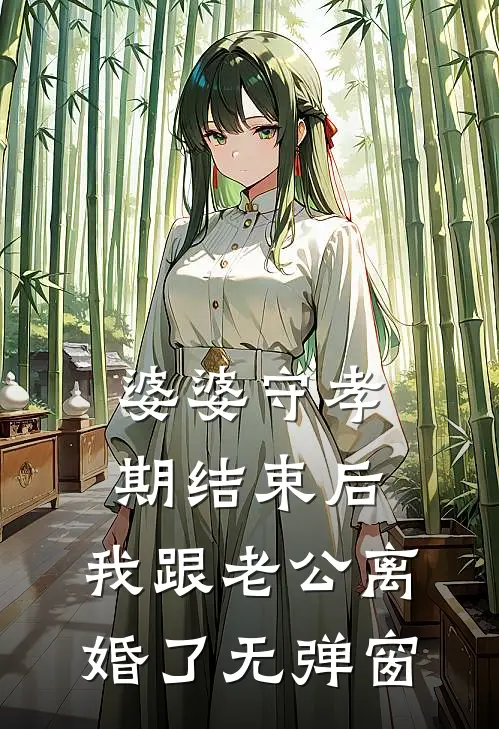 婆婆守孝期结束后，我跟老公离婚了无弹窗