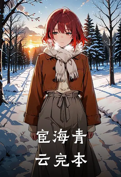 宦海青云完本