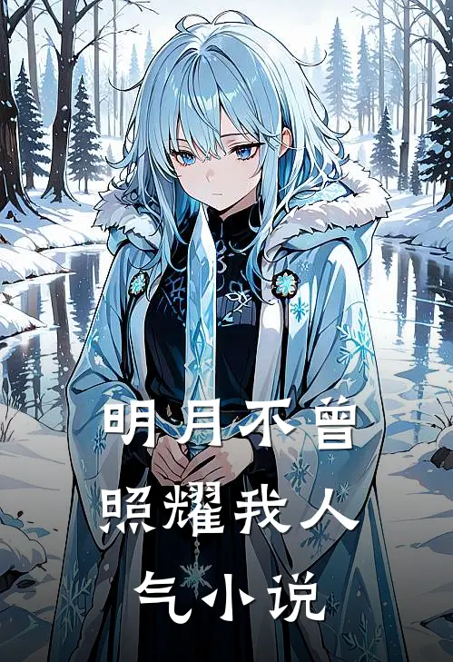 明月不曾照耀我人气小说