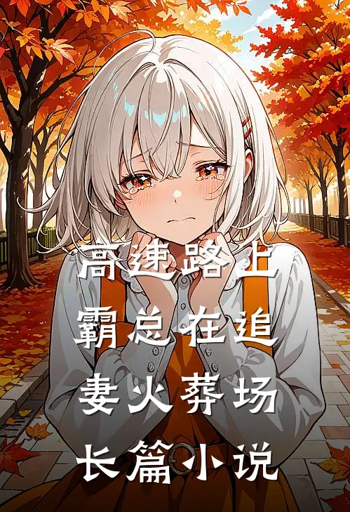 高速路上，霸总在追妻火葬场长篇小说