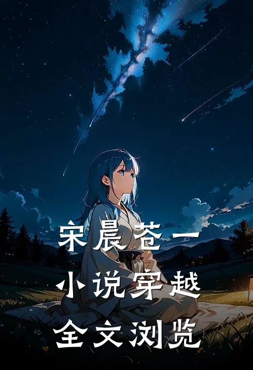 宋晨苍一小说穿越全文浏览