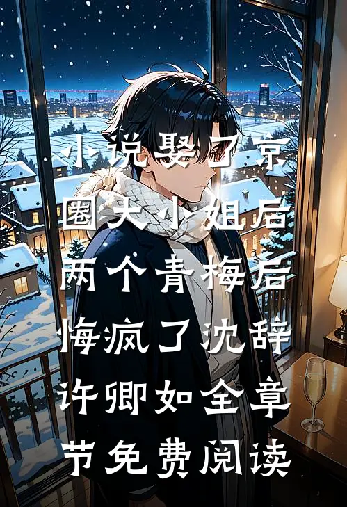 小说娶了京圈大小姐后，两个青梅后悔疯了沈辞许卿如全章节免费阅读