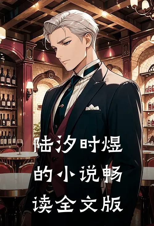 陆汐时煜的小说畅读全文版