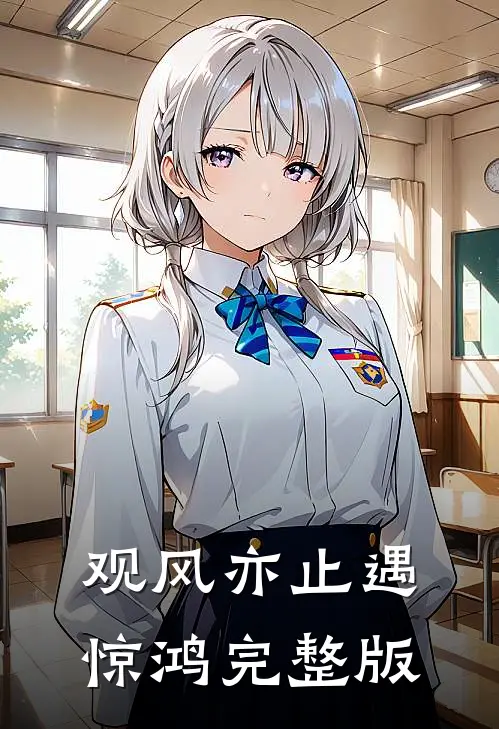 观风亦止遇惊鸿完整版