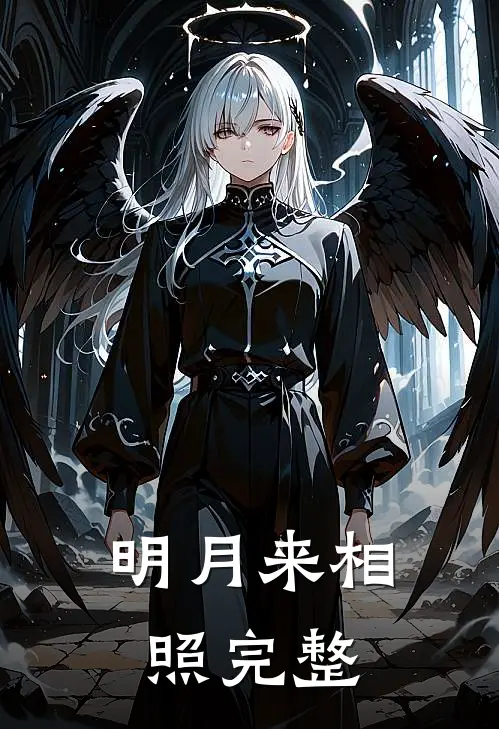 明月来相照完整