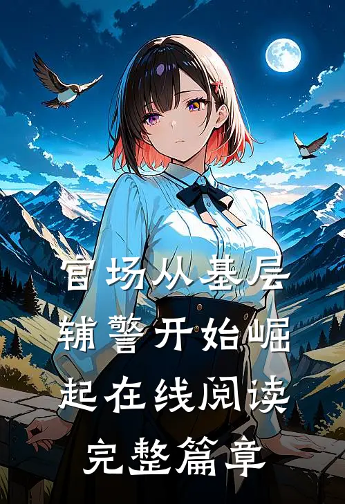 官场从基层辅警开始崛起在线阅读完整篇章