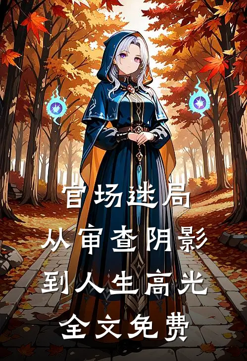 官场迷局：从审查阴影到人生高光全文免费