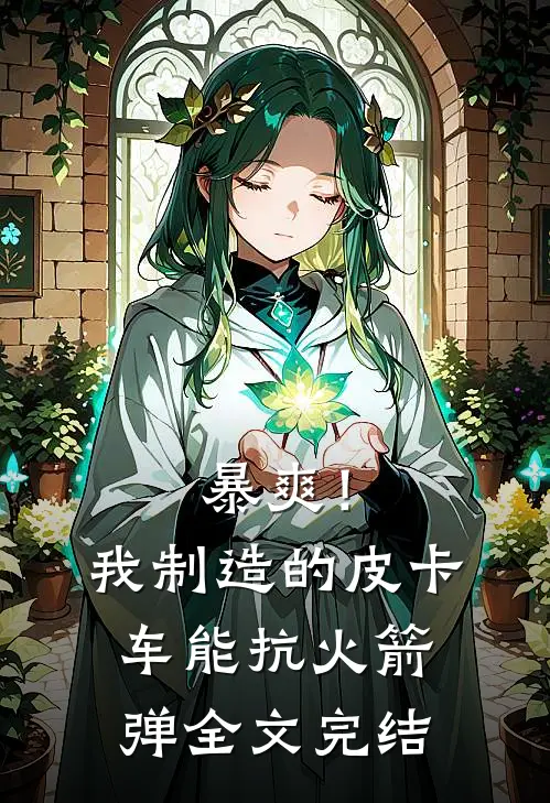 暴爽！我制造的皮卡车能抗火箭弹全文完结