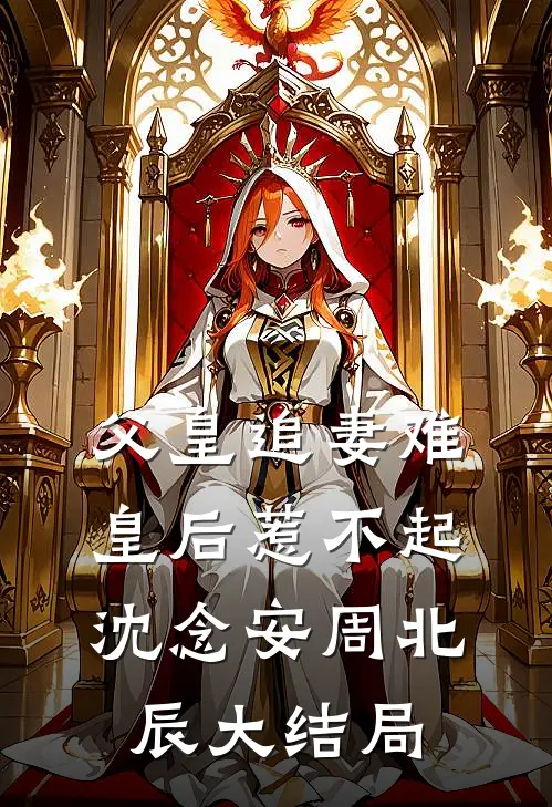 父皇追妻难，皇后惹不起沈念安周北辰大结局