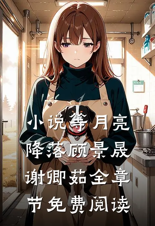 小说等月亮降落顾景晟谢卿茹全章节免费阅读
