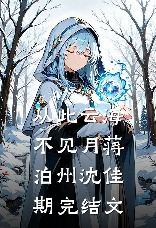 从此云海不见月蒋泊州沈佳期完结文