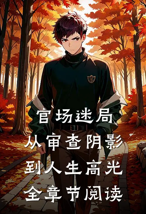 官场迷局：从审查阴影到人生高光全章节阅读