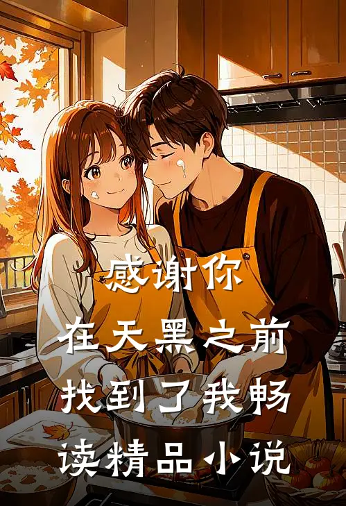 感谢你，在天黑之前找到了我畅读精品小说