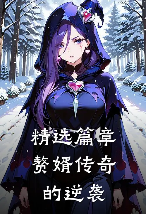 精选篇章赘婿传奇的逆袭