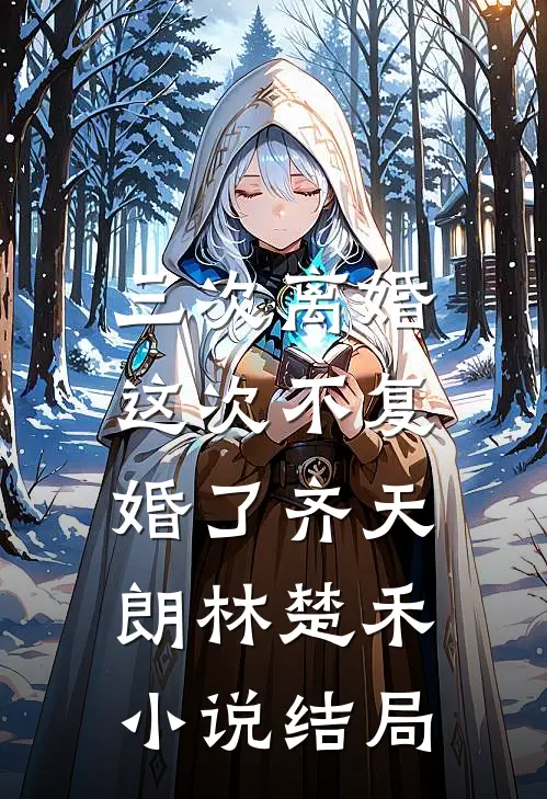 三次离婚，这次不复婚了齐天朗林楚禾小说结局